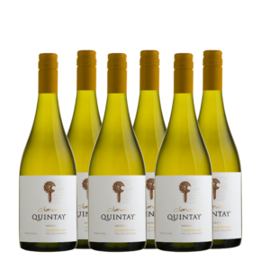 Chardonnay Clava X 6