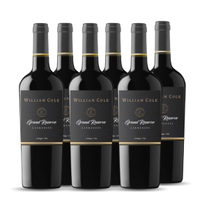 Carmenere Grand Reserve X 6
