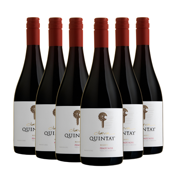 Caja Pinot Noir Clava