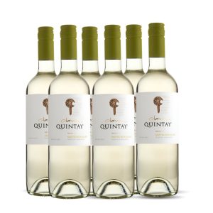 Sauvignon Blanc Clava X 6