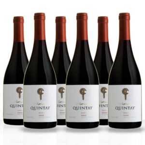Caja 6 Botellas Syrah Clava Reserva