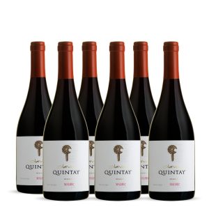 Pinot Noir Clava X 6