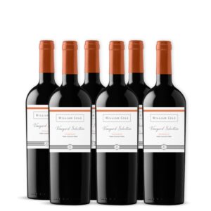 Caja 6 botellas Carmenere Vineyard Selection