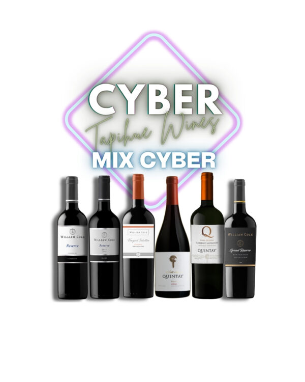 MIX  CYBER