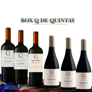 Caja 6 botellas Mix Q Viña Quintay