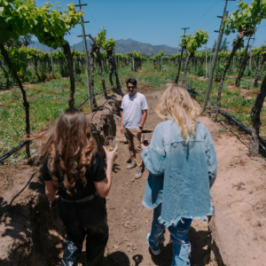 Gift Card Tour Experience