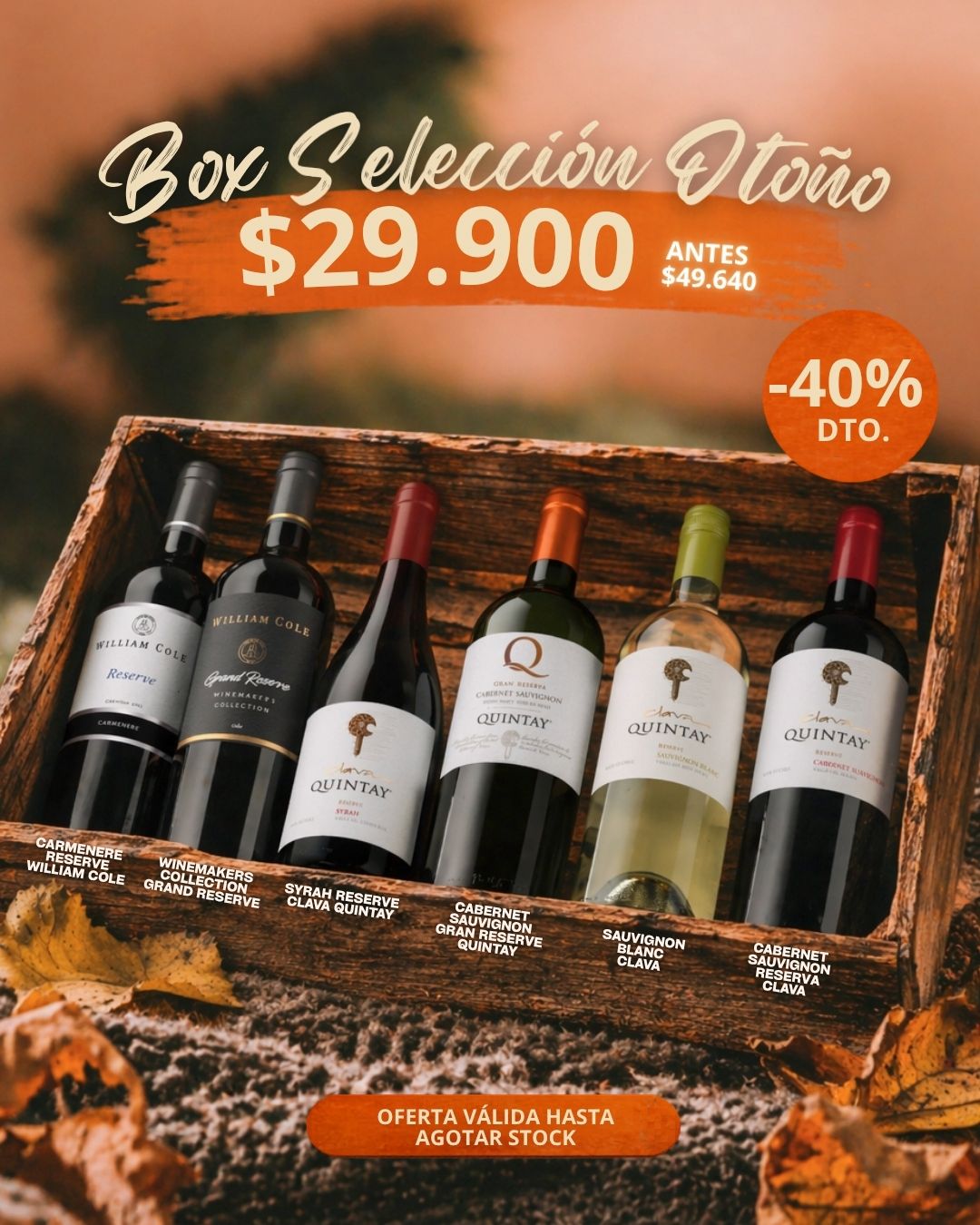 Box Selección otoño